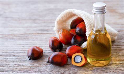 Plam kernel oil